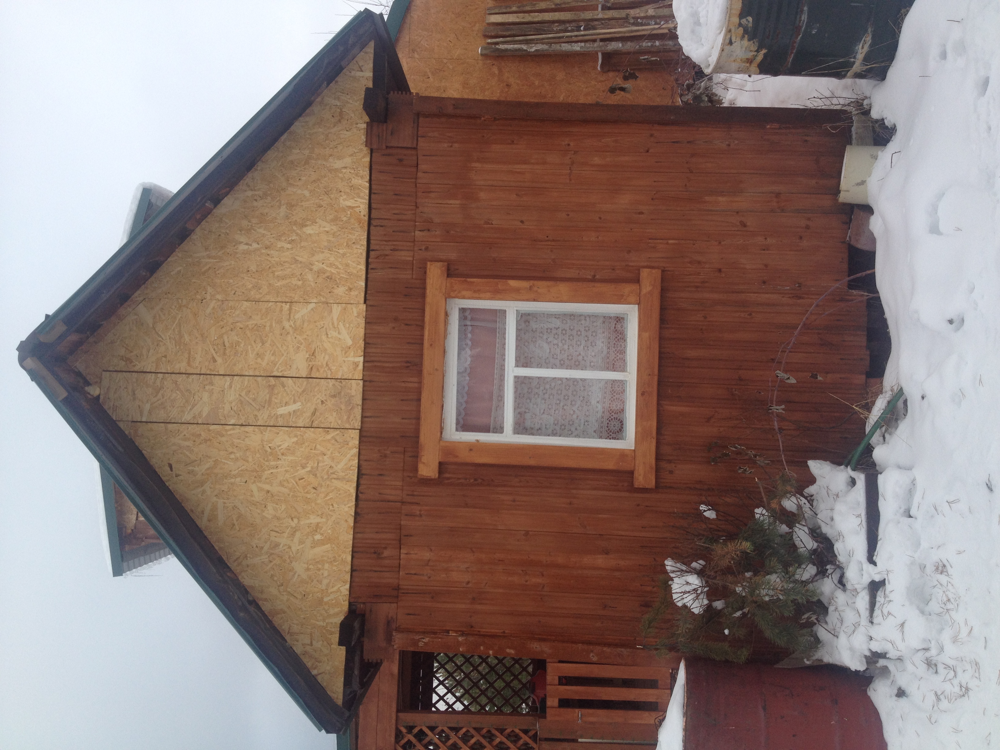 House from the container in the garden